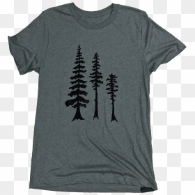 Shortleaf Black Spruce, HD Png Download - tall tree png
