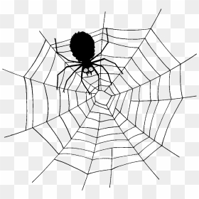 Spider Web Southern Black Widow Clip Art - Charlotte's Web Book Covers, HD Png Download - black widow spider png