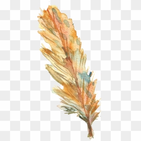 Bird Feather Drawing - Feather, HD Png Download - feather drawing png