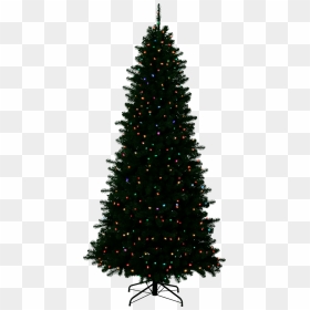 Christmas Tree Outside Png, Transparent Png - holiday background png
