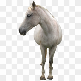 Smudge Painted Horse Png, Transparent Png - smudge png