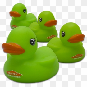 Green Rubber Duck , Png Download - Transparent Green Rubber Ducks, Png Download - rubber chicken png