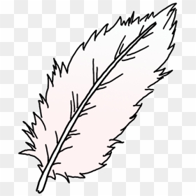 Line Art, HD Png Download - feather drawing png