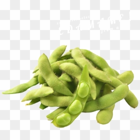 Transparent Pea Png - Green Bean Transparent Background, Png Download - green beans png
