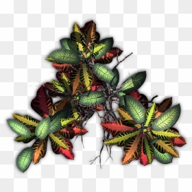 Jungle, HD Png Download - jungle tree png