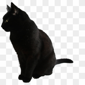Black Cat Png, Transparent Png - black cat clipart png