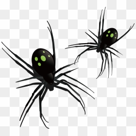 Southern Black Widow Spider Insect Pattern - Southern Black Widow, HD Png Download - black widow spider png
