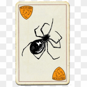 Wayfare Pest Solutions Most Wanted - Black Widow, HD Png Download - black widow spider png