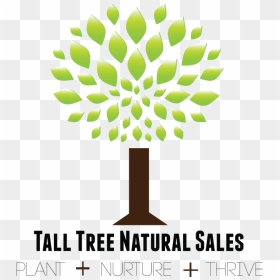 1 Oak Remodeling, HD Png Download - tall tree png