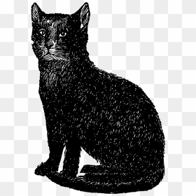 Digital Stamp Design - Vintage Black Cat Clipart, HD Png Download - black cat clipart png
