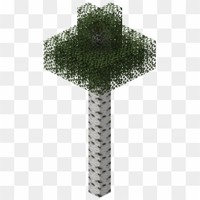 Minecraft Birch Tree Transparent, HD Png Download - tall tree png