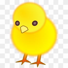 Fågel Kyckling, HD Png Download - rubber chicken png