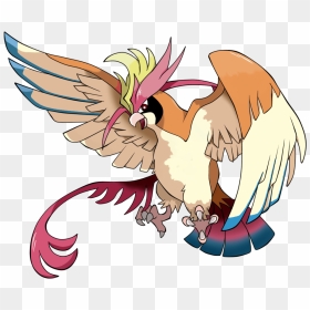 Pokémon » Thread - Draw Pokemon Mega Pidgeot, HD Png Download - vhv