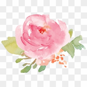 Watercolor Flower Png Pic - Pink Watercolor Flower Png, Transparent Png - watercolor rose png