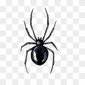 Simple Black Widow Tattoo, HD Png Download - black widow spider png