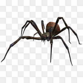Villains Wiki - Spiders Eight Legged Freaks, HD Png Download - black widow spider png