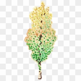 Christmas Tree, HD Png Download - watercolor tree png