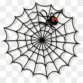 Line Art,spider Web,symmetry - Spider Web Clipart, HD Png Download - black widow spider png
