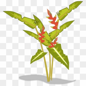 Free To Use Public Domain Plants Clip Art - Transparent Tropical Plants Clipart, HD Png Download - tropical plant png