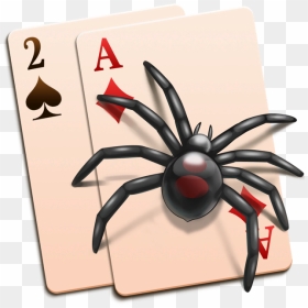 Patience, HD Png Download - black widow spider png