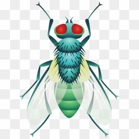 Beetle Cockroach Fly - Group Insect Clipart, HD Png Download - flies png