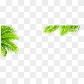 Transparent For Tropical Plant Elements - Tropical Elements Png, Png Download - tropical plant png