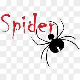 Insect, HD Png Download - black widow spider png