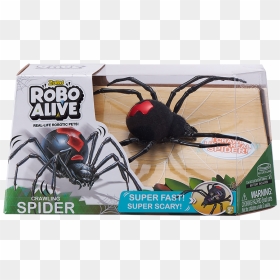 Robo Alive The Spider, HD Png Download - black widow spider png