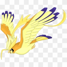 Transparent Pidgeot Png - Pokemon Mega Pidgeot Shiny, Png Download - pidgeot png