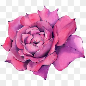 This Graphics Is A Rose Png Transparent About Watercolor,purple - Hybrid Tea Rose, Png Download - watercolor rose png