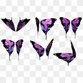Thumb Image - Free Butterfly Wings Png, Transparent Png - butterfly wings png