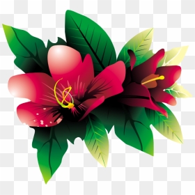Tropical Flowers Transparent Background, HD Png Download - tropical plant png
