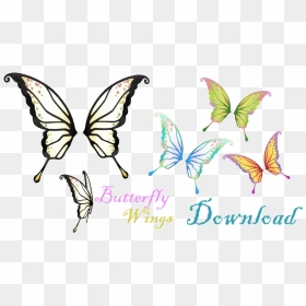 Transparent Butterfly Wings Png - Anime Butterfly Wings, Png Download - butterfly wings png