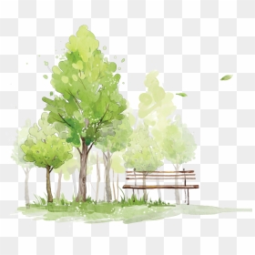 Watercolor Tree Sketch Png, Transparent Png - watercolor tree png