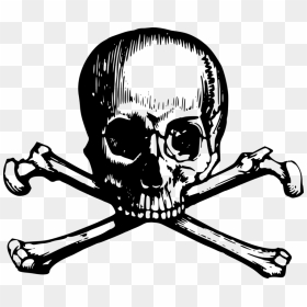 Crossbones Clipart Skull Island - Skull And Crossbone Drawing, HD Png Download - jolly roger png