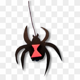 Spider, HD Png Download - black widow spider png