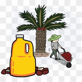 Palm Oil Tree Png Download - Palm Oil Tree Clipart, Transparent Png - cartoon palm tree png