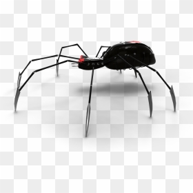 Logo-side - Black Widow, HD Png Download - black widow spider png