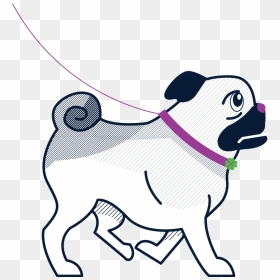 Dog Sitter, Dog Sitting, Dog Walking - Dog Walking, HD Png Download - dog sitting png