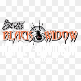 Graphic Design, HD Png Download - black widow logo png