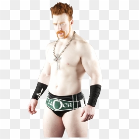 Transparent Sheamus Png - Png Sheamus Wwe 2010, Png Download - daniel bryan png