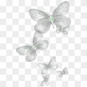 Ftestickers Butterflies Glow Green - Transparent Background Butterfly Png, Png Download - green glow png