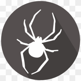 Black Widow, HD Png Download - black widow spider png