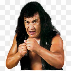 [​img] - Perro Aguayo, HD Png Download - daniel bryan png