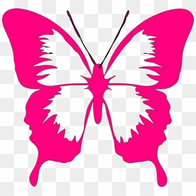Transparent Pink Butterfly Png - Colorful Butterflies Clip Art, Png Download - pink butterfly png