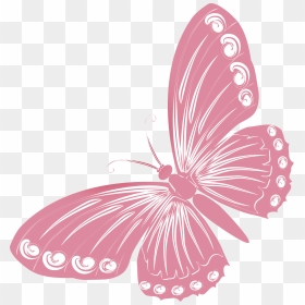 Pink Butterfly Png - Transparent Background Butterfly Drawing, Png Download - pink butterfly png