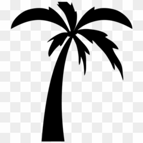 Palm Tree Cartoons - Palmera Minimalista Png, Transparent Png - cartoon palm tree png