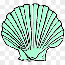 Shell Clipart, HD Png Download - sea shell png
