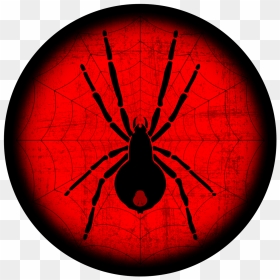 Widow Spiders, HD Png Download - black widow spider png