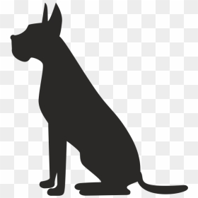 Pet Sitting Dog Grooming Cat - Vet Cloud, HD Png Download - dog sitting png